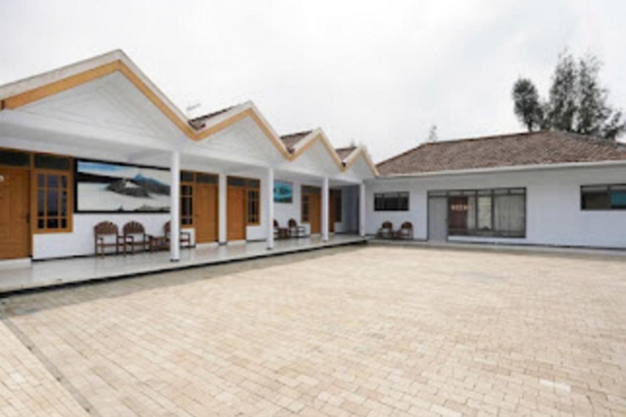 Ambar Tosari Homestay At Desa Wisata Bromo Pasuruan Kültér fotó